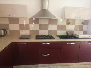 a kitchen with a stove and a sink in it at Pipilota in Rijeka