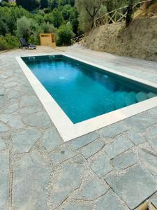 a swimming pool with blue water on a stone patio at la dimora degli angeli in Perugia