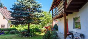 a pine tree in a yard next to a house at Pension Klarissa in Sovata