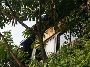 Jardín al aire libre en Hostel Swastik