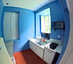 eine blaue Küche mit Spüle und Mikrowelle in der Unterkunft Gîte Eugène Süe - cuisine fermée in Magny