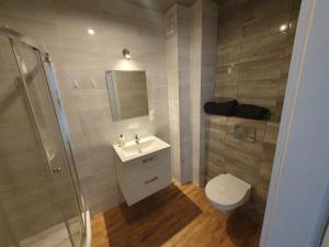 a bathroom with a toilet and a sink and a shower at Apartament Nova Wozownia Free Parking in Leszno