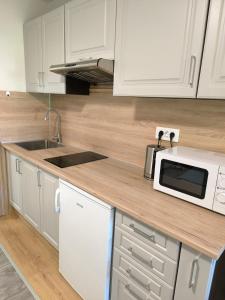 Kuchyň nebo kuchyňský kout v ubytování Apartment Eva