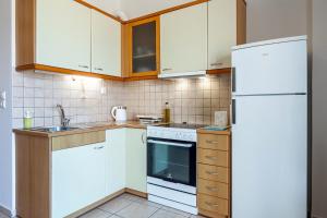 Kuchyň nebo kuchyňský kout v ubytování Piranthou Studios & Apartments