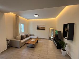 TV a/nebo společenská místnost v ubytování HarMa house