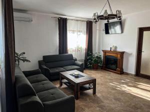 a living room with a couch and a coffee table at Pensiunea Salcioara in Salcioara