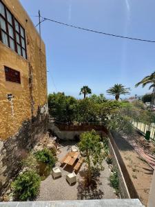 Zahrada ubytování Studio La Palma