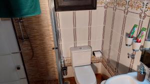 a small bathroom with a toilet and a sink at Apartamentos Monasterio de San Antonio - Rustikales Apartment mit kleiner Innenhofterrasse in Icod de los Vinos
