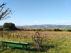 a green bench sitting in a field with a vineyard at 2 Rue de la Tour in Aniane