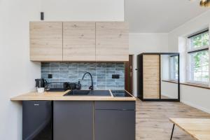 Η κουζίνα ή μικρή κουζίνα στο Kolejowy Zakątek - Apartament w Ścinawce Średniej