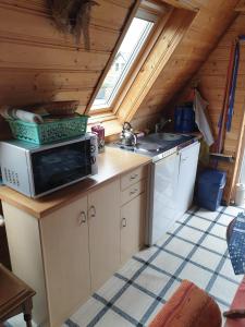 a kitchen with a microwave and a stove at Ruegen_Fewo 41 in Rambin