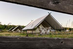 索尔克维蒂Glamping Szelągówka, Sun & Snow的田野里的一组带椅子的帐篷