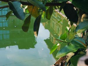 Jardín al aire libre en Hostel Swastik