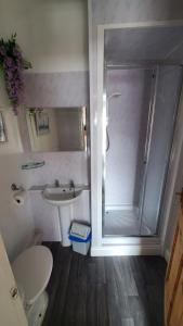 a bathroom with a shower and a toilet and a sink at Leecliff Guest House in Blackpool +29 photos