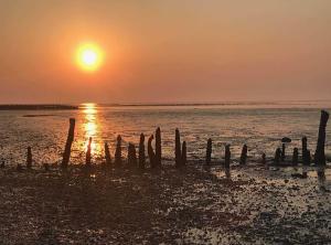 Příroda nedaleko prázdninového domu