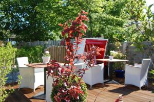 a garden with a table and chairs and a plant at Schönes Wohnen am Nordseestrand in Wyk auf Föhr