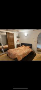 a bedroom with a large bed in a room at La chanvrière in Beaulieu-sur-Loire