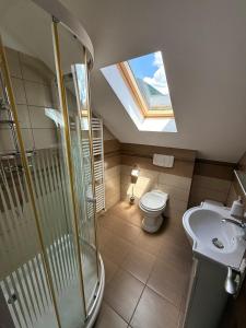 a bathroom with a shower and a toilet and a skylight at Dor de munte in Borşa +28 photos