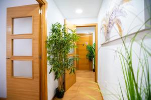 Un pasillo con plantas en macetas junto a una puerta. en High-End Luxury Flat with FREE Parking - Malaga Beach, en Málaga