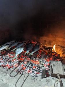 a group of fish cooking on a grill at Vila Edgon in Vlorë