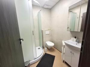Kúpeľňa v ubytovaní Dimael Hostel & Apartments