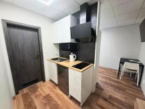 Kuchyňa alebo kuchynka v ubytovaní Dimael Hostel & Apartments