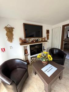 sala de estar con 2 sillas y mesa con chimenea en Dor de munte, en Borşa