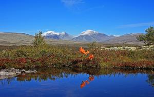 Gallery image of Thon Partner Hotel Otta in Otta
