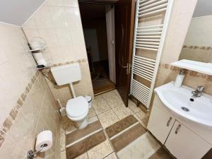 a bathroom with a toilet and a sink at The Salin House in Turda +17 photos
