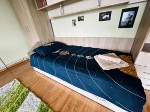 Gallery image of The Salin House in Turda +17 photos