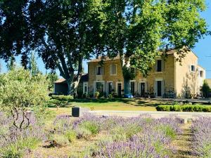 a house with purple flowers in front of it at Mas des Branches d'Or in Cavaillon