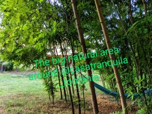 Taman di luar Casa Tranquila