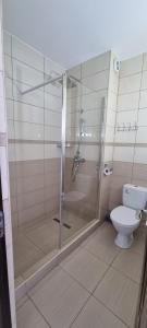 a bathroom with a shower and a toilet at Blue Sky Hotel in Eforie Nord
