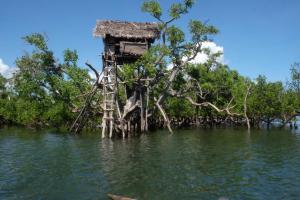 a tree house in the middle of the water at Maison Des Voyageurs in Ambanja