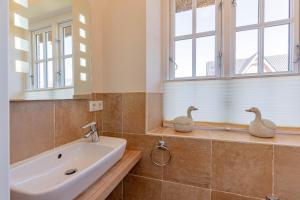 two ducks sitting on the ledge of a bathroom sink at Stine Marie 2 in Borgsum +25 photos