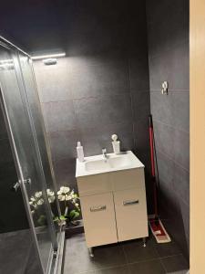 a bathroom with a sink and a shower at MiDo in Zalaegerszeg