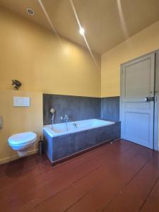 a bathroom with a bath tub and a toilet at Le Mas de Lucas in Arles +59 photos