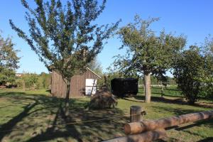 a small shed in a field with a tree at Schäferwagen im Leipziger Neuseenland in Wyhra