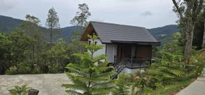 a small house in the middle of a forest at Granny's Woods Cottage in Ranau