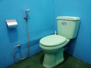 a bathroom with a toilet in a blue wall at Ella Mountain Inn in Ella