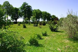 a field of green grass with trees and bushes at Ferienwohnungen im Altbauernhaus in Hohendorf