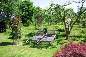 two benches sitting in the grass next to a tree at Ferienwohnungen im Altbauernhaus in Hohendorf