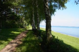 a tree lined path next to a body of water at Ferienhaus Boddenblick in Stahlbrode