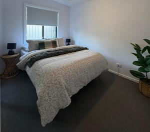 a bedroom with a large bed with a window at Guest favourite Ocean Views Breakfast Included in Charlestown