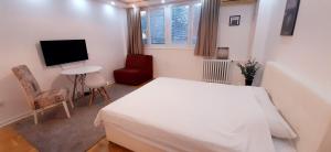 una camera con letto, TV e sedia di Apartman Durmitor a Fontana