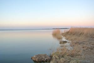 een uitzicht op een waterlichaam met hoog gras bij FischLANDinSicht in Ribnitz-Damgarten