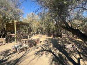 a park with a bench in the middle of a forest at Tsauchab River Camp Campsite in Sesriem