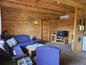 a living room with a blue couch and a tv at FH am Haff B in Altwarp