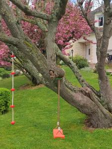 due mangiatoie per uccelli sono appese a un albero di NOUVEAU - LE BOISSANTÉ - Zoo à 10 mn - Jeux pour enfants a Noyers-sur-Cher