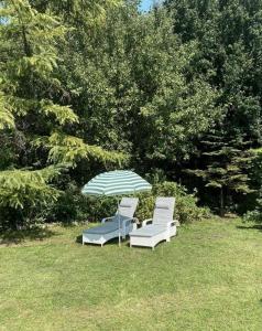 Zahrada ubytování Ferienhaus Schaletzki + 7 fotografií